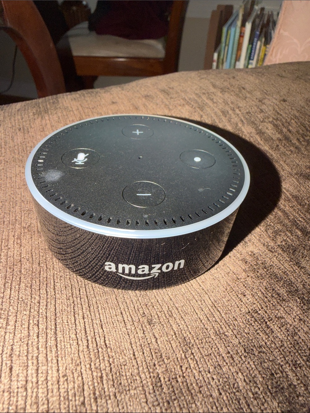 Amazon Black Alexa Mini Smart Speaker